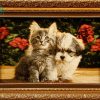 تابلو فرش دستبافت چله ابریشم سگ و گربه و گل رز